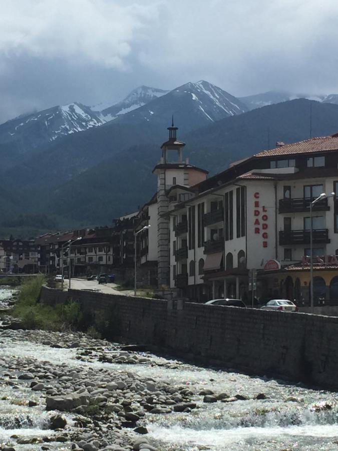 Cedar Lodge 3/4 Apartment Paradise Bansko Exterior photo